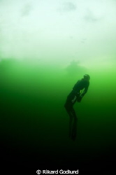 Freediver diving under the ice in Sweden by Rikard Godlund 